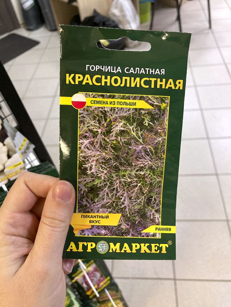 горчица салатная Краснолистная